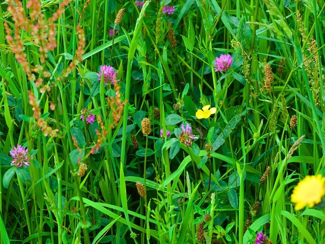 retouches photos Tourinsoft - 11