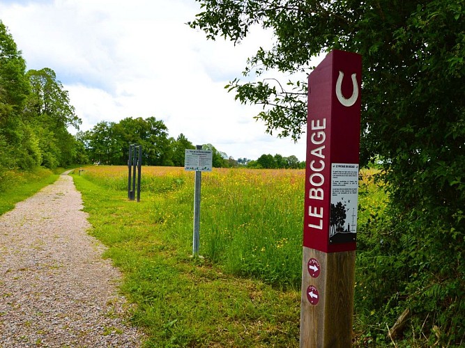 Parc du Vallon des Granges - Châlus