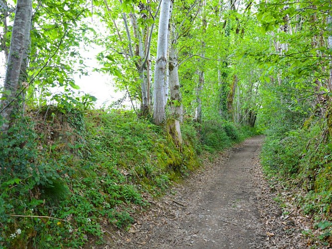 Parc du Vallon des Granges - Châlus
