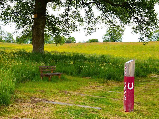 Parc du Vallon des Granges - Châlus