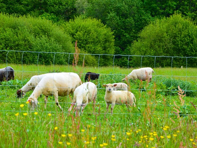 retouches photos Tourinsoft - 12