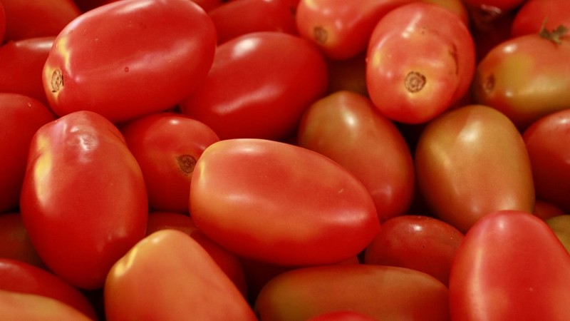 tomato-5011851_1280