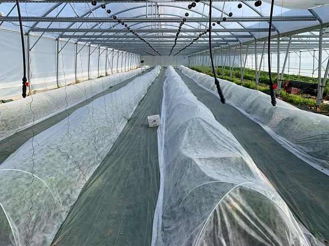 Le Potager de Bellevue