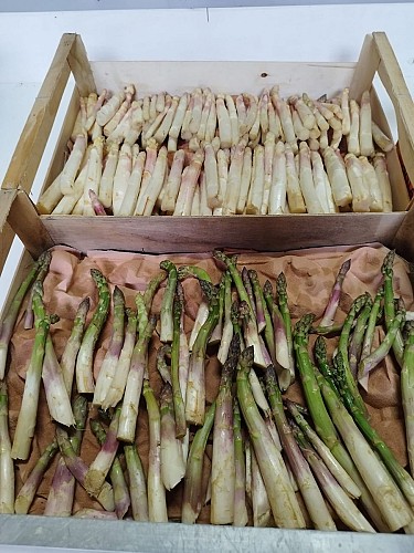 Le Potager de Bellevue