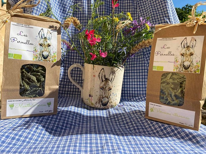 200078133_108064544844631_3317569264996563384_n