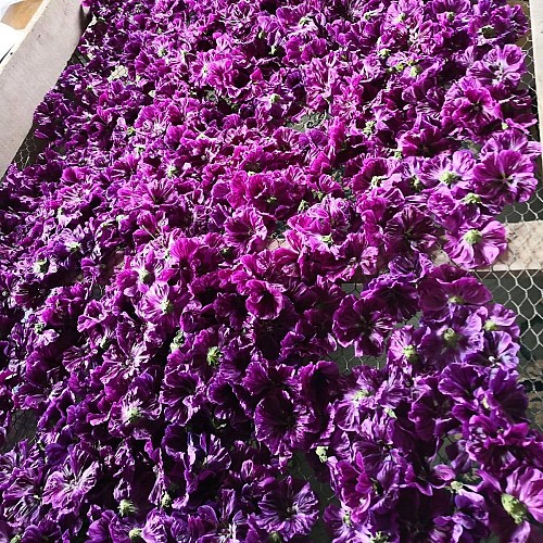 300425998_373547971640564_152313987814289213_n