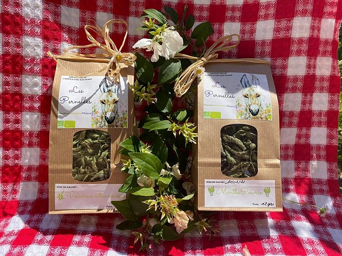 204232481_115961730721579_6303123326651210175_n