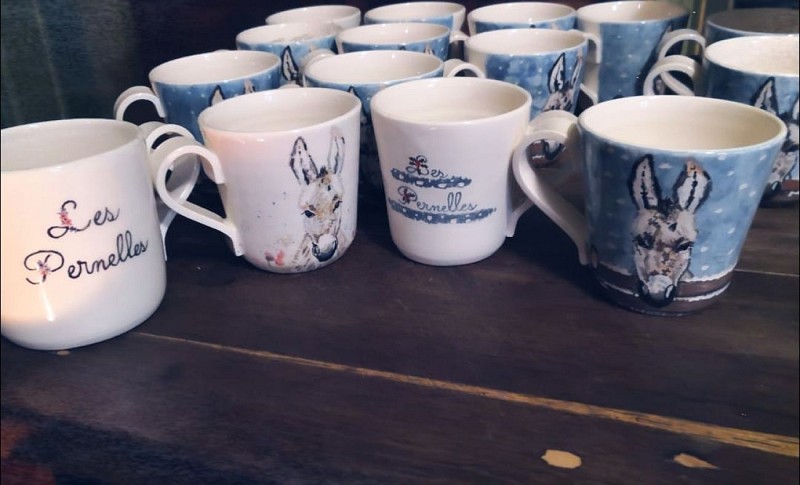 263422845_206596591658092_5360603575877052834_n