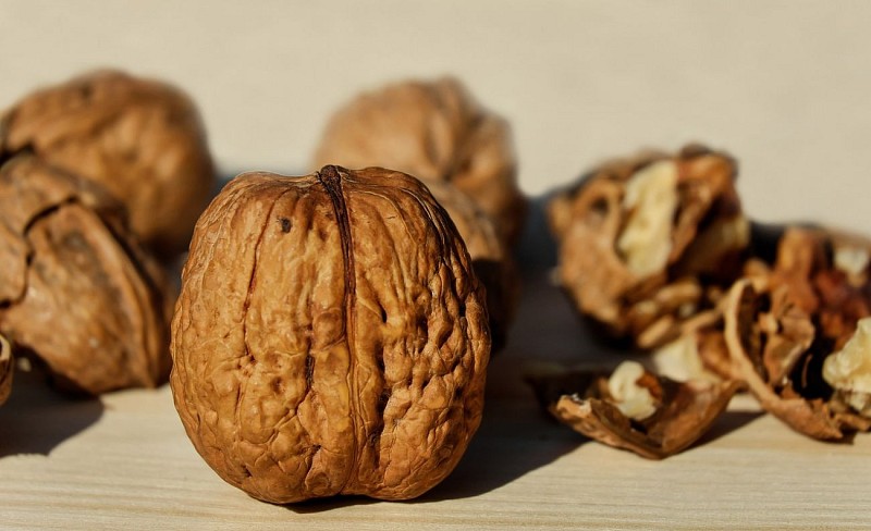 walnuts-1739021_1280