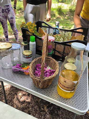 449613467_957808866357107_6525903361782617680_n