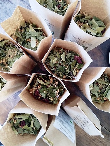 458755843_1005093308295329_266686639848555199_n