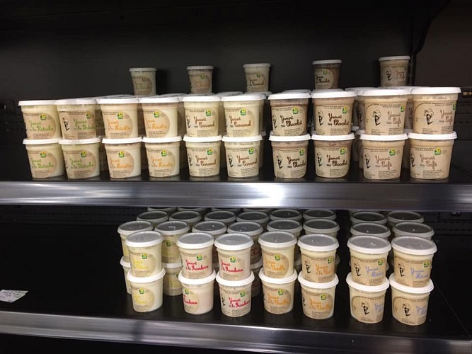 52451599_1183978298445452_7699101346233843712_n