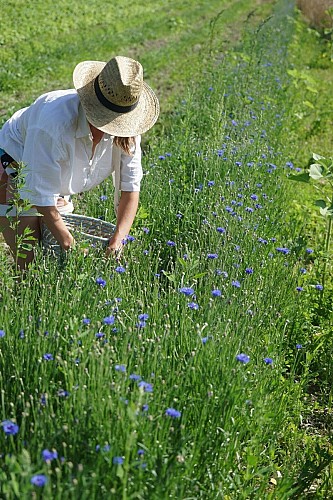 Les Trésors de Galien 3 2