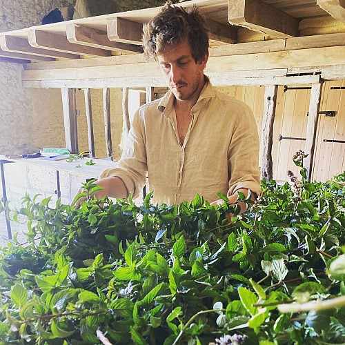 Les Trésors de Galien 5 2