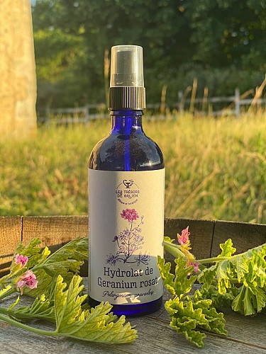 311614333_448670624065710_6665500062014405547_n