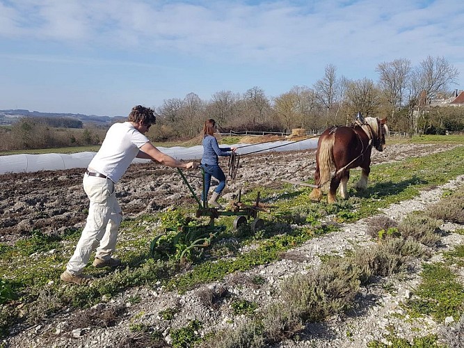 333653428_935071917850736_561022831730745699_n