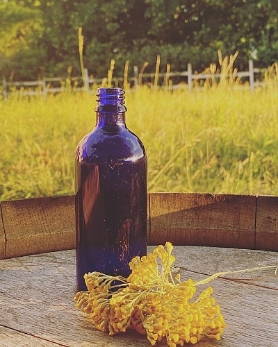 320255631_548508930471862_6838099639051760045_n