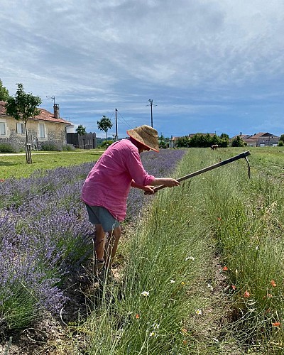 Les Trésors de Galien
