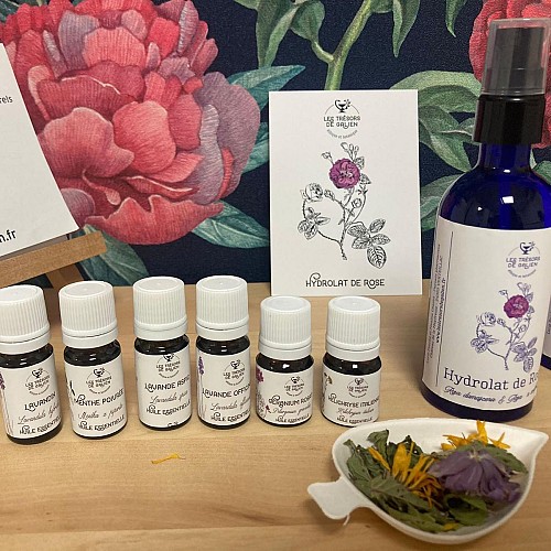 Les Trésors de Galien