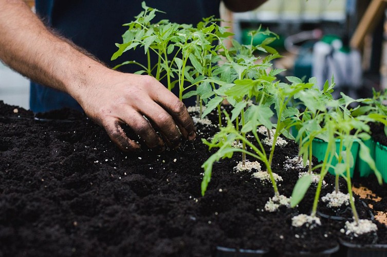 300454421_509284491200340_4414016275860921490_n