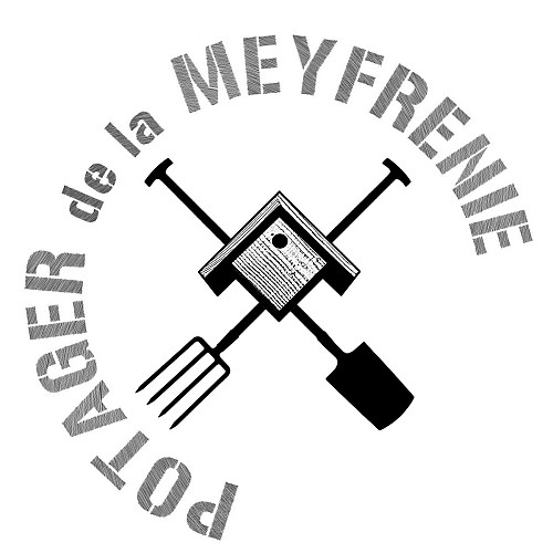 300997130_509284487867007_5600005787412154403_n