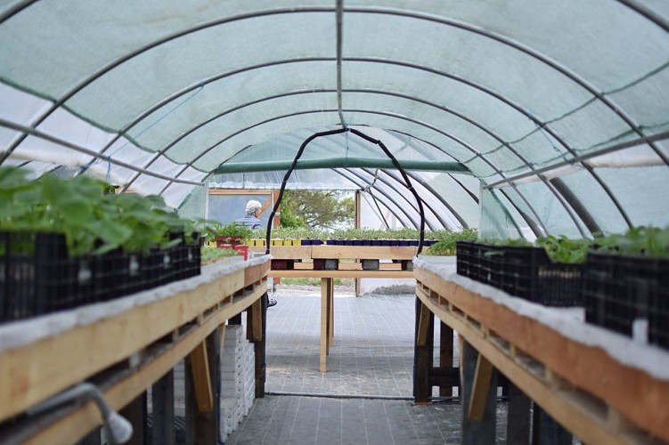 464448694_3299515983516434_4713501416731901076_n