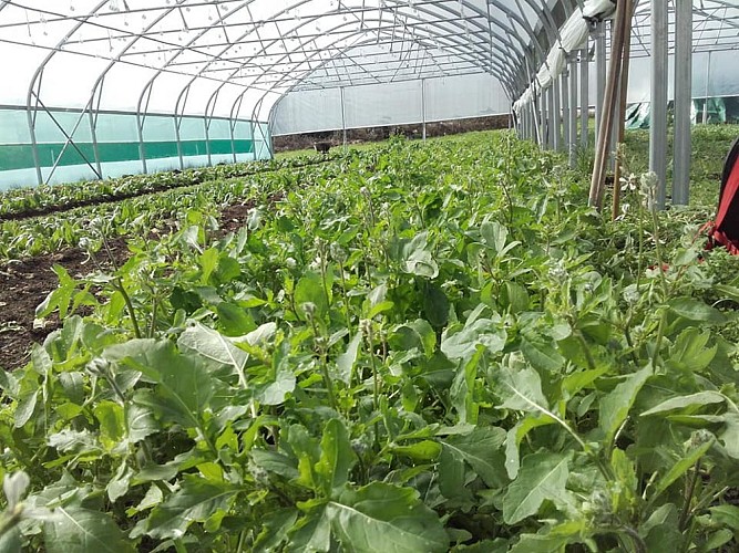 464735124_3305660052902027_4924435971537604451_n