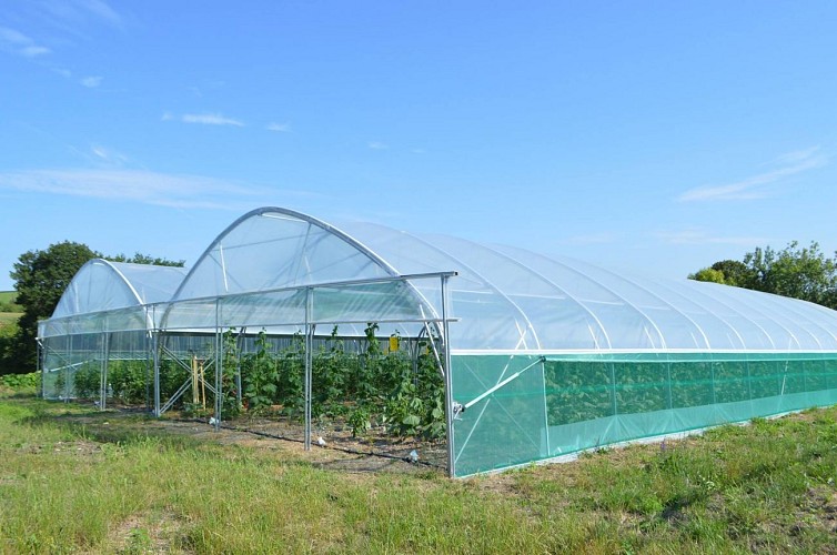 464621223_3301745129960186_182662374202308609_n