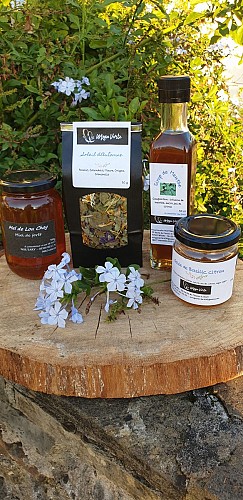 Magie Verte@MagieVerte