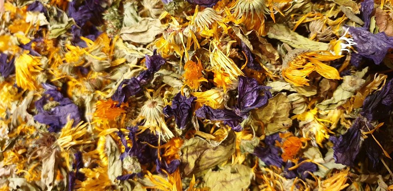 Infusion soleil automne