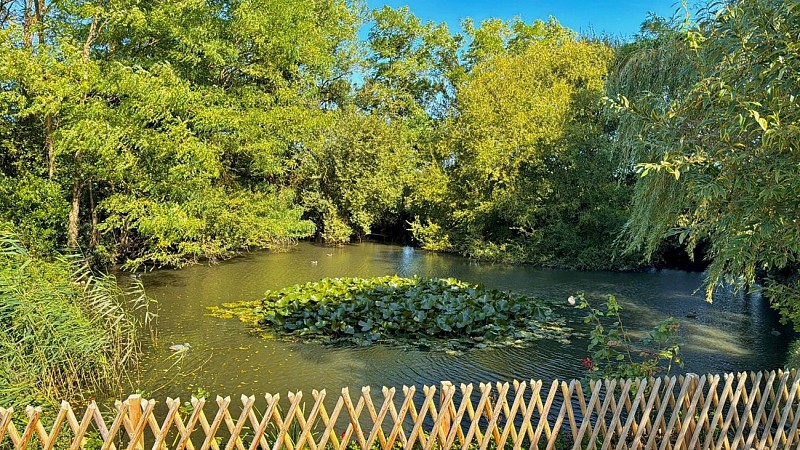 Village de l'Héritage - mare