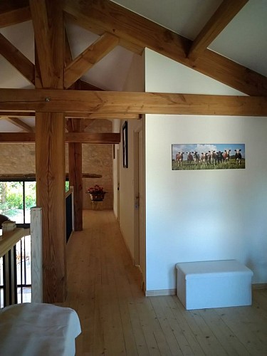 Les Chênes Jumeaux - Bournel (5)