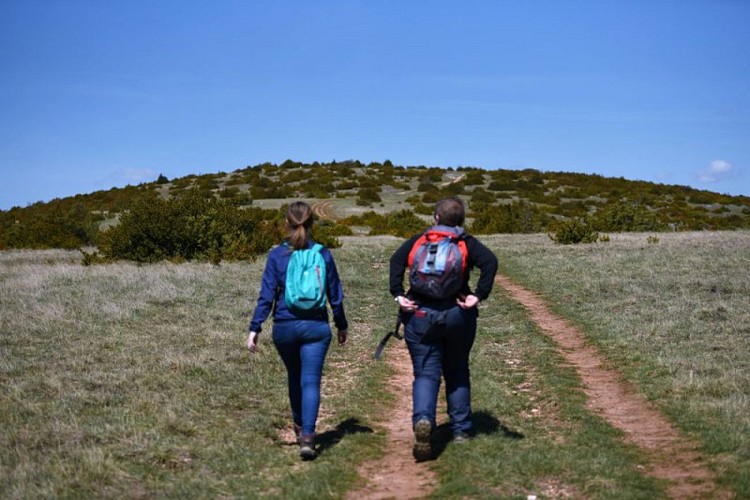 Montée vers le Mont Cougouille