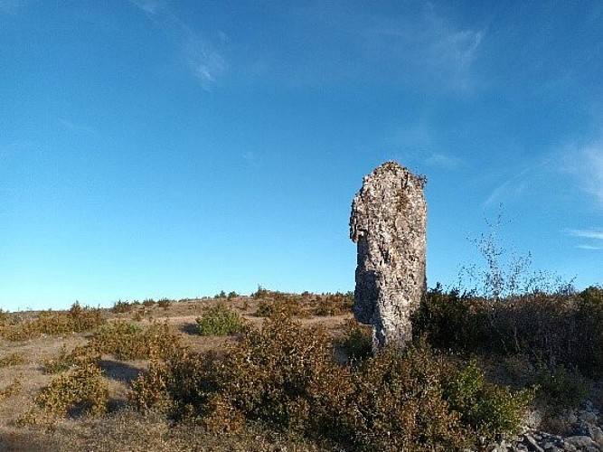La Pierre Plantée sur le causse du Larzac