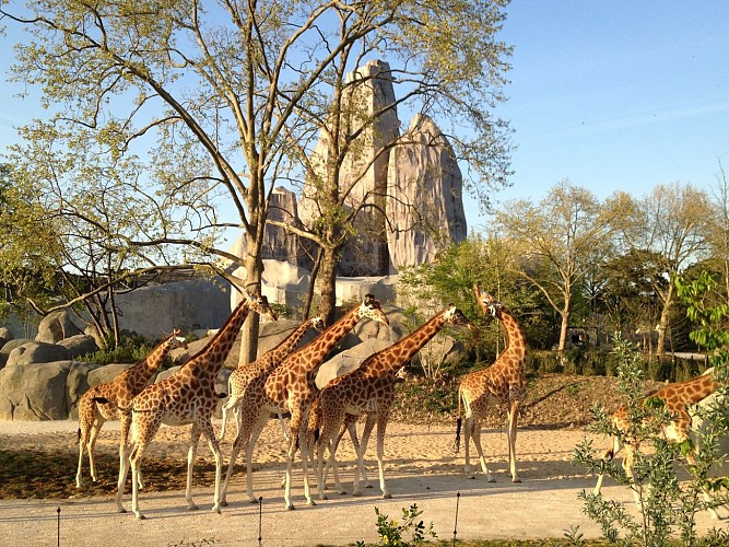 Parc Zoologique de Paris