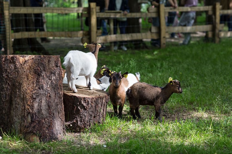 La Ferme de Maisons-Alfort
