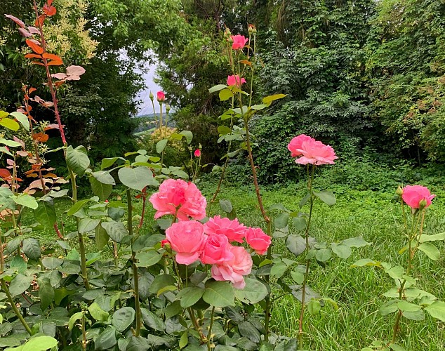 La Poésie Extérieur