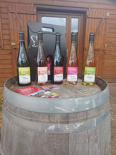 Domaine des Troglodytes