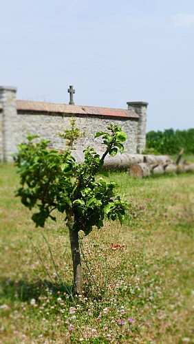 image du object