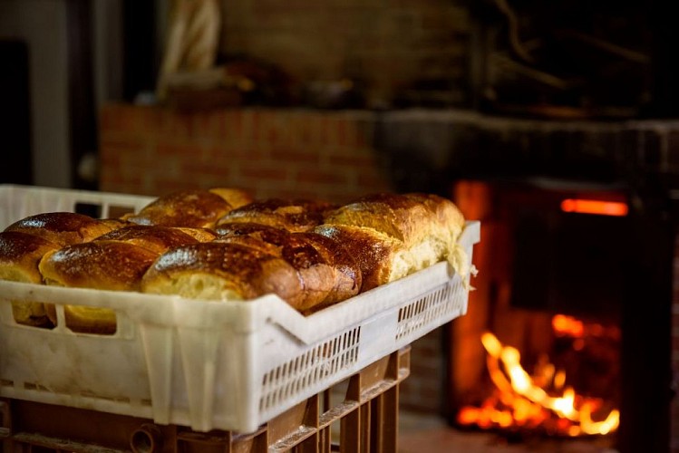 Ferme de Maleauzieux - Meilhards ©Benoit Charles (5)