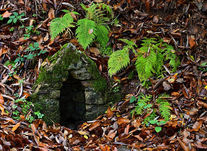 Bonnes Fontaines de Courbefy 