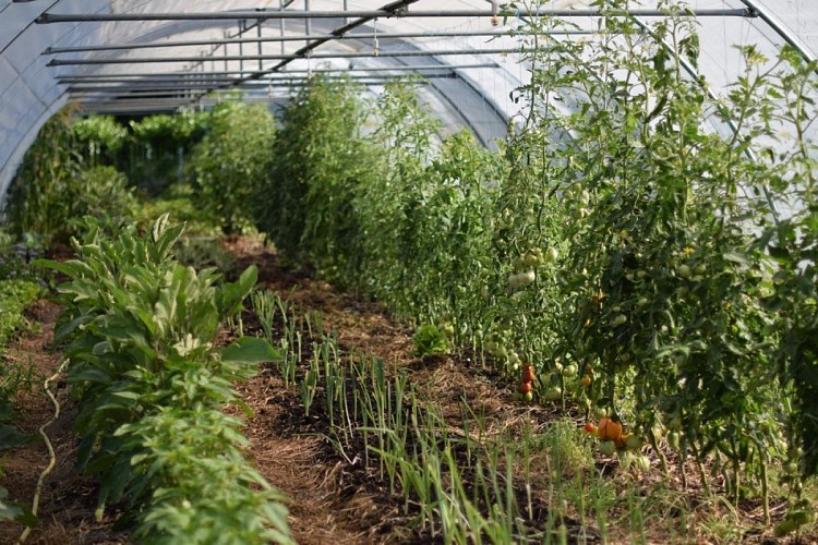 potagers la lande serre