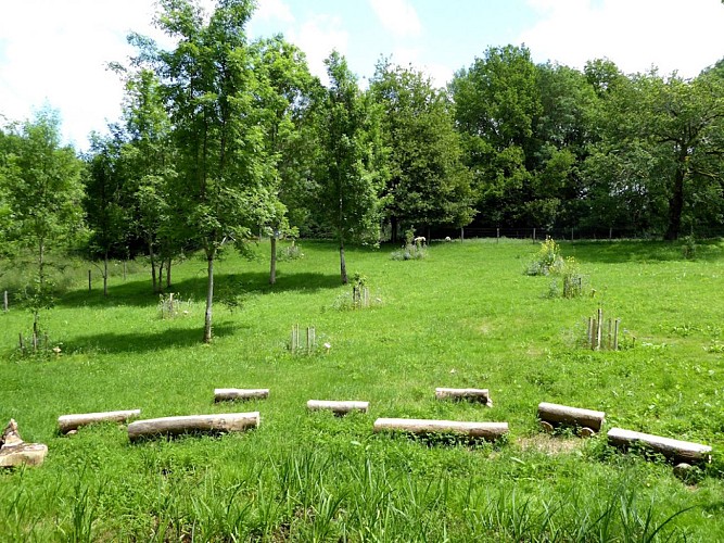 BESSINES Rymauri © CBC