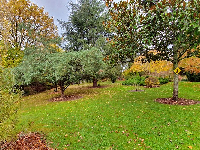 BESSINES Arboretum
