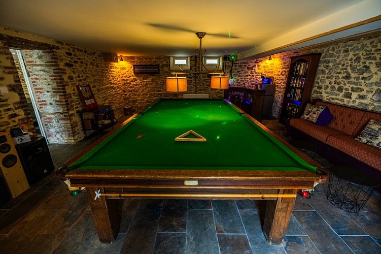 Meublé-billard-chateaudemontmireil