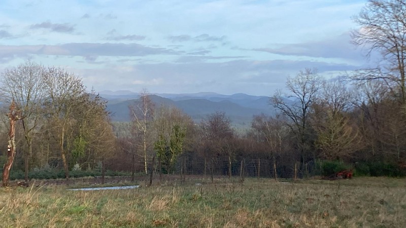 Balancelle de La Petite Pierre - GR 53