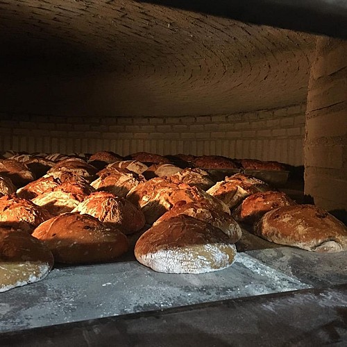 ©Ferme du Cheyron 2 - Chamberet