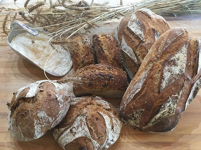 Ferme du Cheyron - Chamberet © ferme du Cheyron