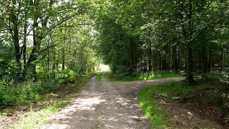 Itinéraire alternatif