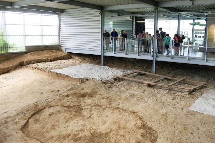 Visite guidée au Silex's